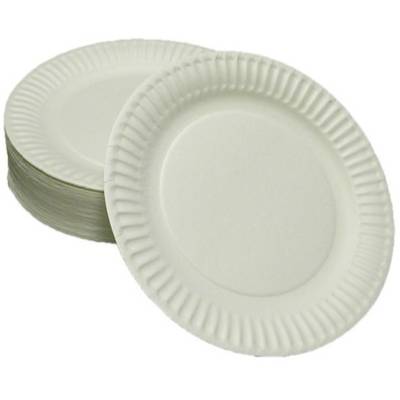 Paper Plate