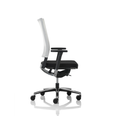 Ergonomic Office Chair EXTMX 13RS/B