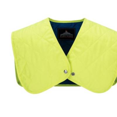 CV10- Cooling Shoulder Insert