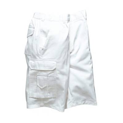 S791 - Painters Shorts