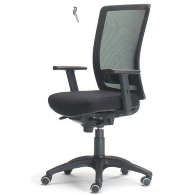 Ergonomic Office Chair RIPKD/A