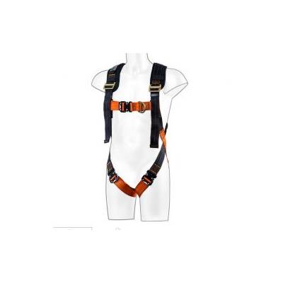 FP72 - Portwest Ultra 2 Point Harness