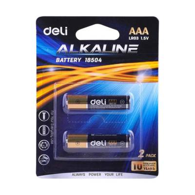 2-Piece Aaa Alkaline Battery Set