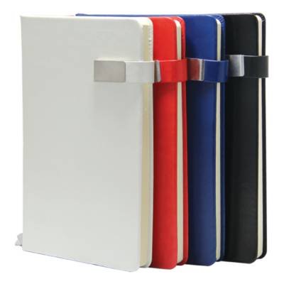 EXECUTIVE HI-TECH PORTFOLIO