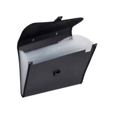 Deluxe Kf417Tj, F4 Expanding File, 13 Pockets