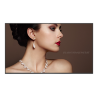 4K UHD 86” Smart Signage | ST8602