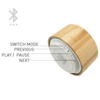 AF-032 WOODEN SWIVEL USB FLASH DRIVE