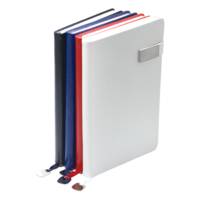 EXECUTIVE HI-TECH PORTFOLIO