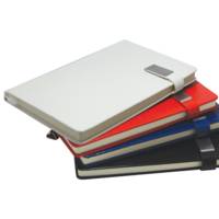 EXECUTIVE HI-TECH PORTFOLIO