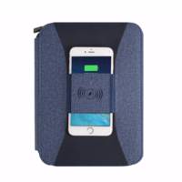 EXECUTIVE HI-TECH PORTFOLIO