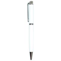 METAL PEN