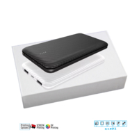 PORTABLE POWER POWERBANK