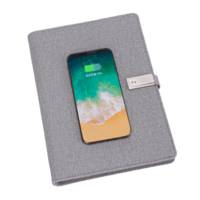 EXECUTIVE HI-TECH PORTFOLIO