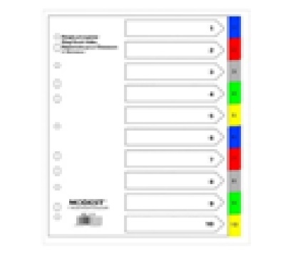 MODEST/PARTNER - Dividers -  Plastic Dividers (Colored with front index sheet & printed tabs)