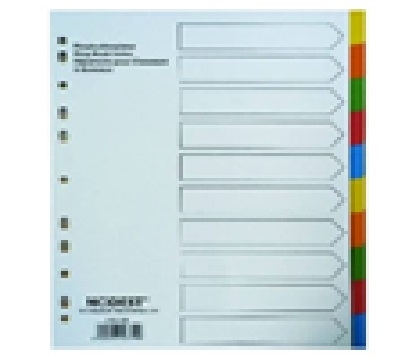 MODEST/PARTNER - Dividers -  Plastic Dividers (Coloured with front index sheet & without printed tabs)